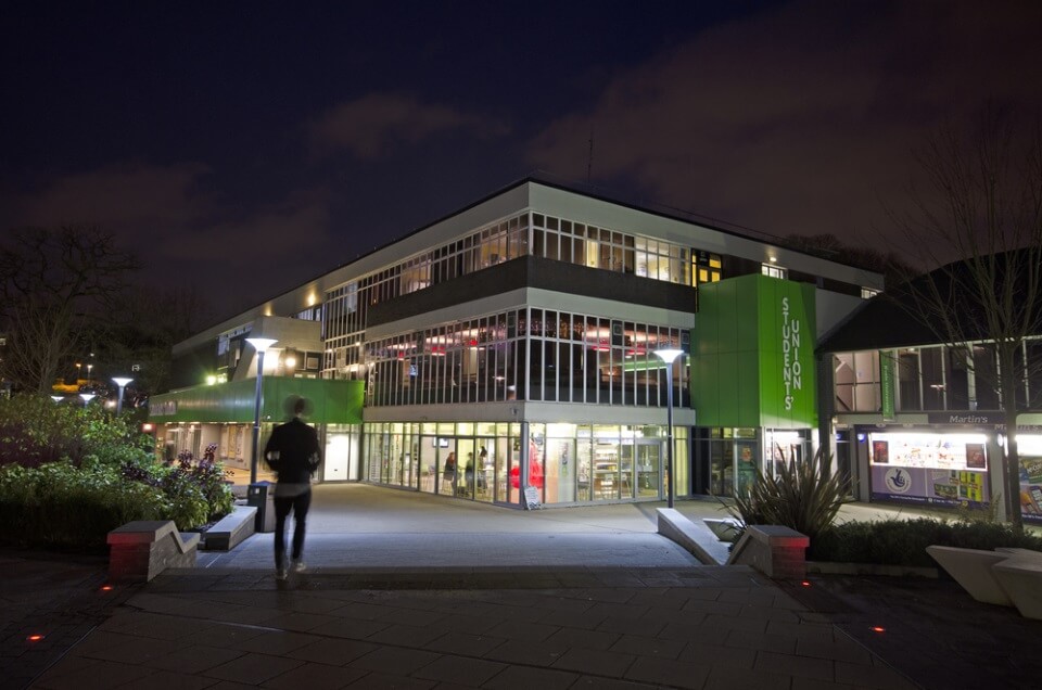 Forest of Light at night 